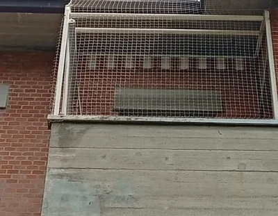 Installazione di rete antipiccioni su balcone condominiale per impedire l’accesso dei volatili.