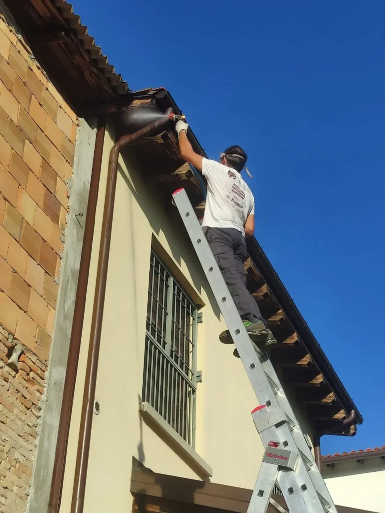 disinfestazione calabroni bologna intervento su tetto con scala