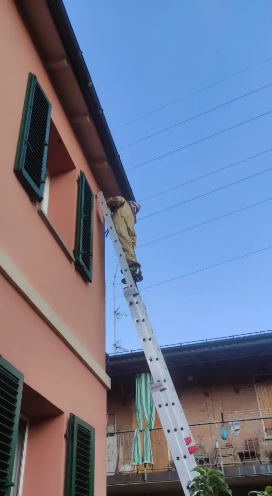 disinfestazione vespe bologna intervento su tetto con scala