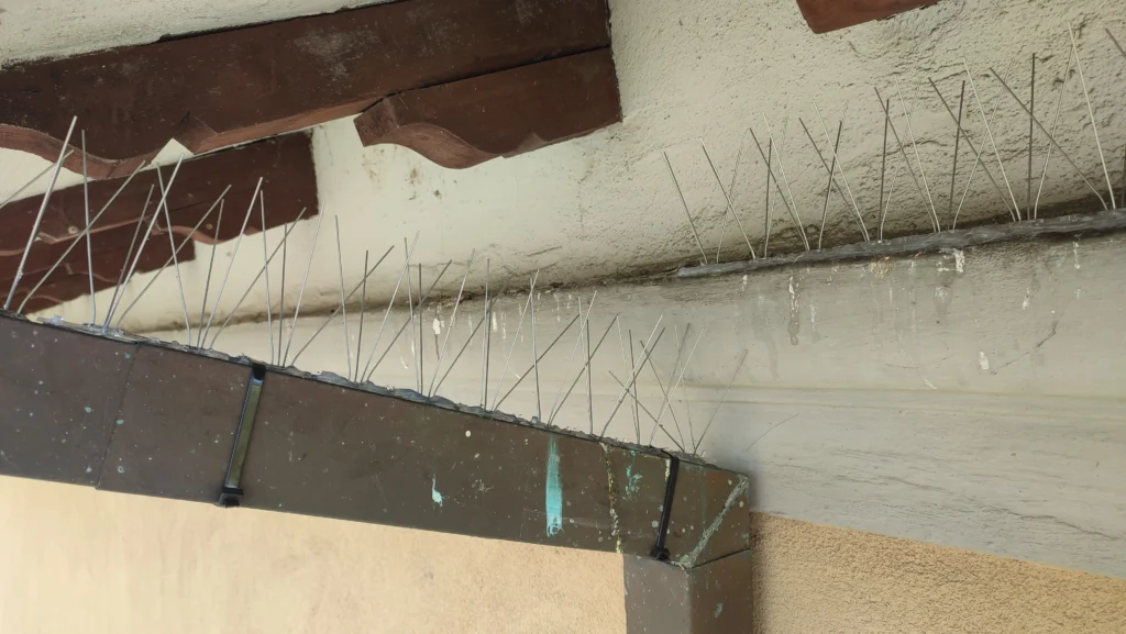 dissuasori meccanici piccioni su cornicione a Bologna installazione allontanamento volatili