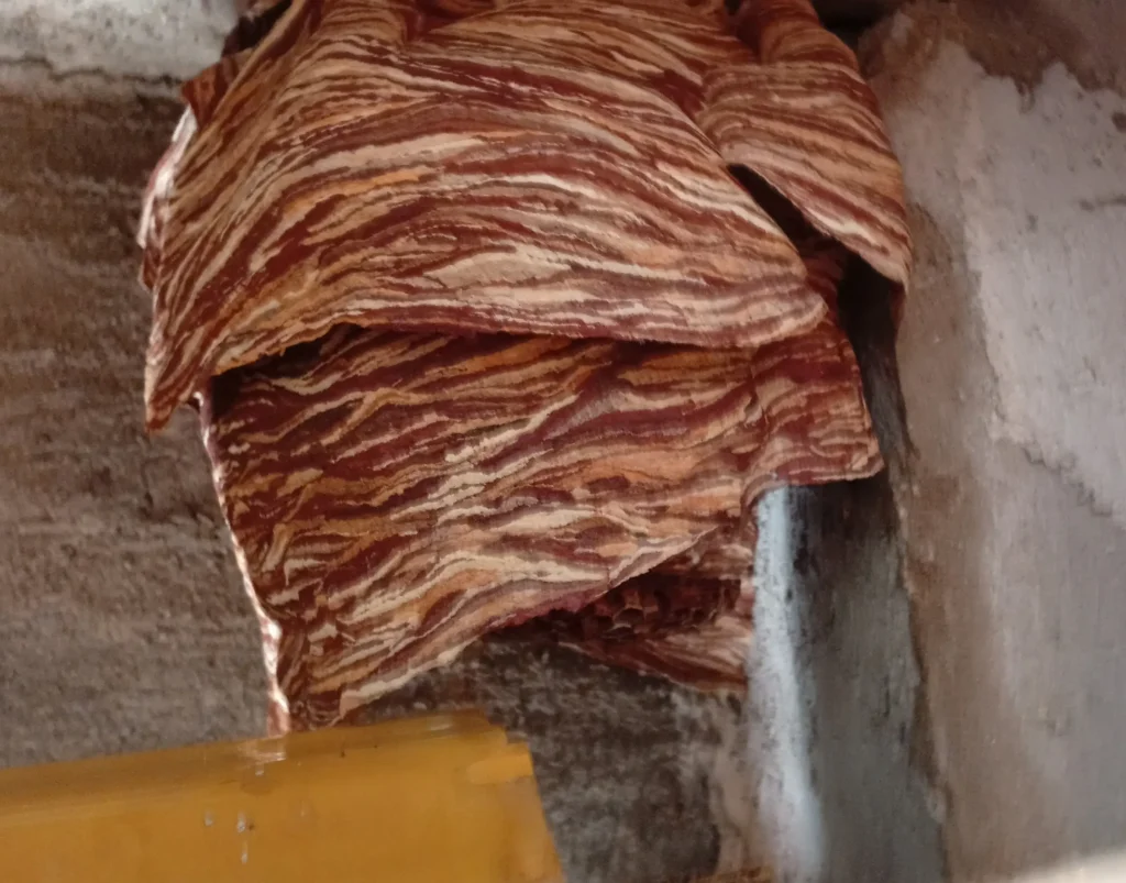 disinfestazione calabroni bologna nido medio in cassettone tapparella