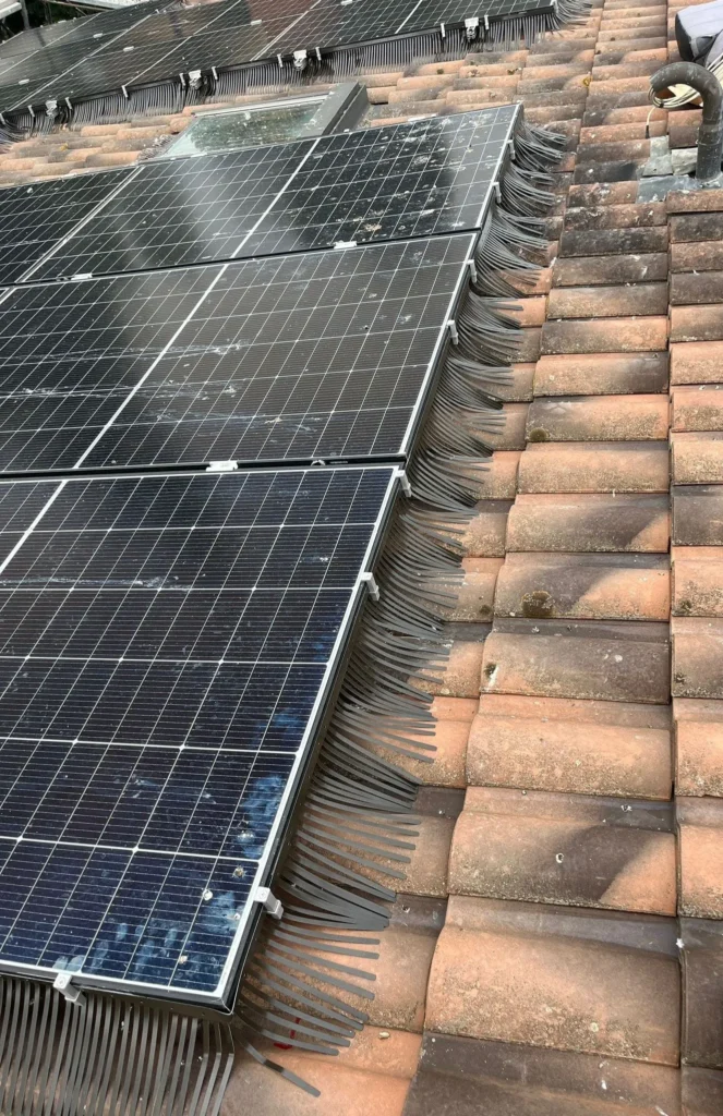 parapasseri su pannelli fotovoltaici a Bologna installazione sistema anti piccioni su tetto