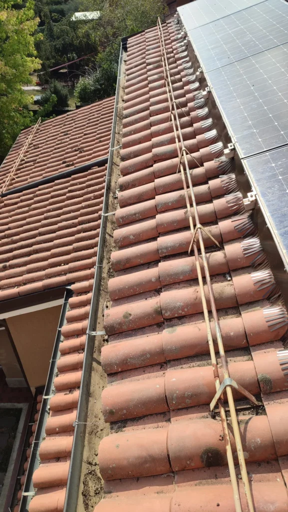 Parapassero per pannelli fotovoltaici installato su tetto a Bologna per evitare nidificazione dei piccioni